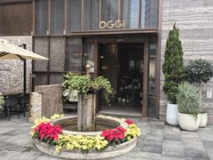 -OGGI TRATTORIA PIZZERIA(深业上城店)