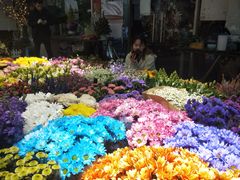 -双季花艺园艺市场(浦东店)