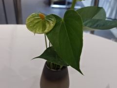 -眉州东坡(通州店)