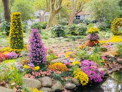 -上海共青森林公园