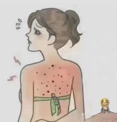 -香薇妮丝女子减肥院
