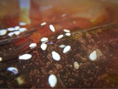 -鸿浩扒猪脚米线