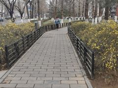 -半天妖烤鱼(东方新天地店)