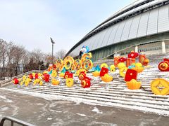 -沈阳奥体冰雪嘉年华