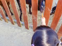 -泉州海丝野生动物世界