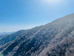 -阳台山自然风景区