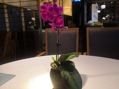-粤秀餐厅(国货店)