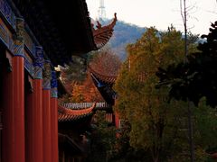 -开福禅寺