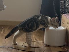 -中农国际动物医院24小时·猫科·骨科·急重症中心