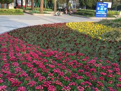 -桐乡植物园