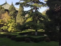 -北京协和医院(东单院区)