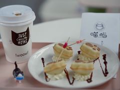 -喵屿·大理花园猫咖