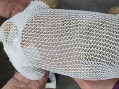 -暖阳宠物医院·犬猫康复中心·骨科