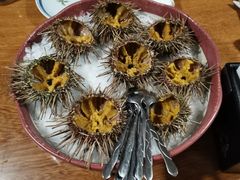 活海胆-万岛日本料理铁板烧(太古里店)