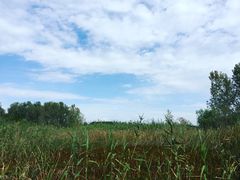 -溱湖国家湿地公园