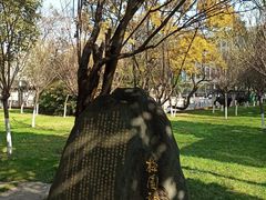 -云南师范大学(一二一西南联大校区)