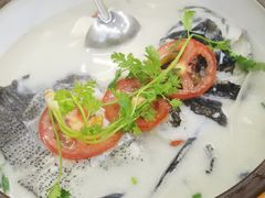 -全乐鱼馆·淳牌有机鱼直营店