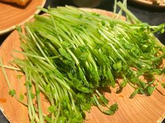 -牛New寿喜烧(金茂览秀城店)