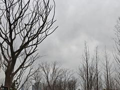 -东湖小天池真人CS彩弹野战基地