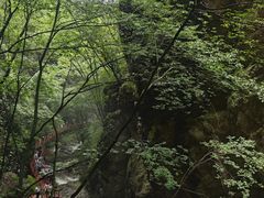 -牛背梁国家森林公园