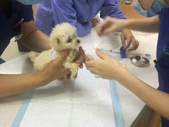 -联合动物医院(光谷诊疗中心)