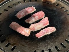 -杨小佳·齐齐哈尔烤肉·烤串(广州店)