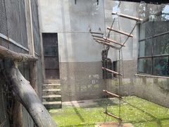 -昆明动物园