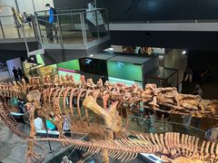 -墨尔本博物馆(Melbourne Museum)
