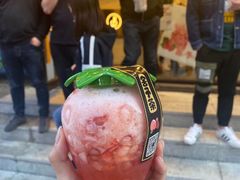-舍予茶(桂林路店)