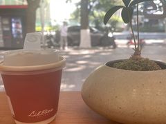 -LilBee Coffee