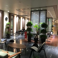 -扎嘎形象设计