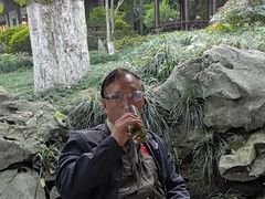 -十八棵（老龙井）御茶园(老龙井店)