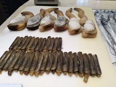 -海景壹号大酒店(滨湖店)