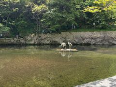 -西安祥峪森林公园