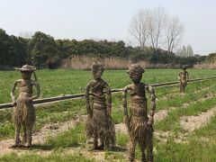 -嘉北郊野公园