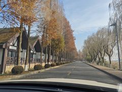 -太阳岛旅游度假区