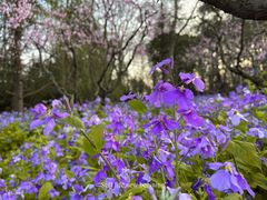 -钟山体育运动公园