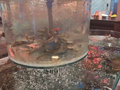 -好灶头妈妈菜·柴火灶台鱼·千岛湖土菜地标美食
