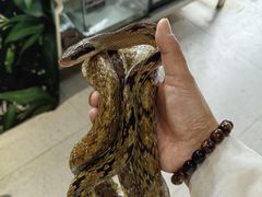 -昆明动物园