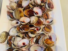 血蛤-华盛丰温州大排档(东三环南路店)