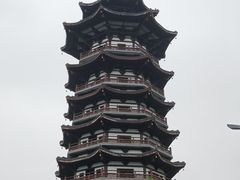 -洋湖国家湿地公园