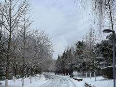 -长白岛森林公园