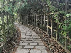 -南沙蒲洲花园