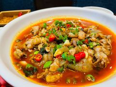 青椒紫苏焖牛蛙-火宫殿·湘菜小吃·商务宴请·生日聚会(东塘店)