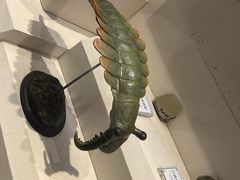 -辽宁古生物博物馆