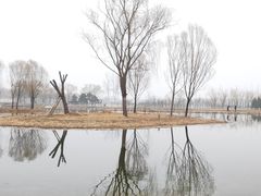 -大兴滨河森林公园