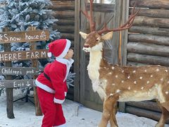 -HERRE·FARM 赫尔露营农场·团建聚会包场