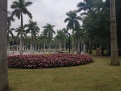 -南宁南湖公园