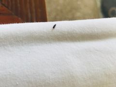 -三亚珠江南田温泉度假区