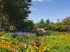 -长春公园(普阳街道)